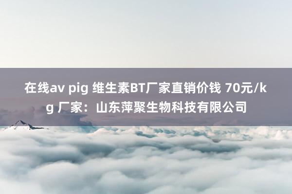 在线av pig 维生素BT厂家直销价钱 70元/kg 厂家：山东萍聚生物科技有限公司