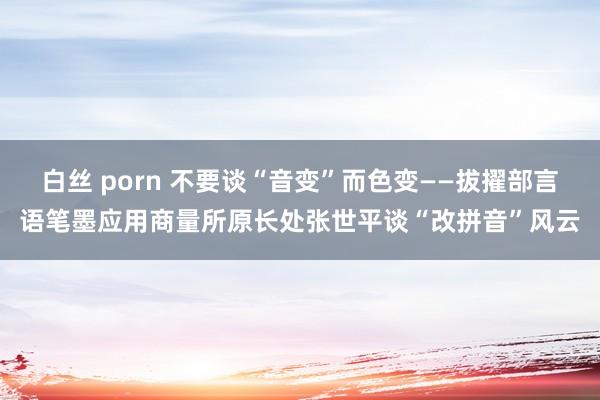 白丝 porn 不要谈“音变”而色变——拔擢部言语笔墨应用商量所原长处张世平谈“改拼音”风云